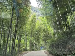 -水墨汀溪风景区