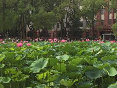 -四川大学(望江校区)