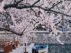 -颐和园