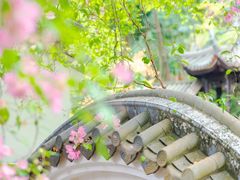 -深圳国际园林花卉博览园