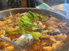 -都江堰石锅鱼