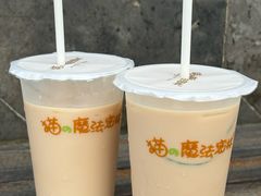 -猫的魔法密林(衣裳街店)