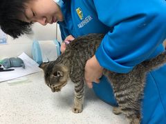 -瑞鹏·疫苗·绝育·宠物医院(金沙洲店)