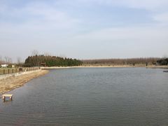 -明珠湖天鹅苑·农家菜馆