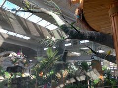 -南宫五洲植物乐园