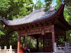 -汇龙潭