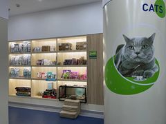 -佩兹宠物医院肿瘤专科·眼科·牙科(黄浦店)