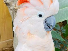 -南宫五洲植物乐园