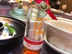 -常州环球恐龙城维景国际大酒店