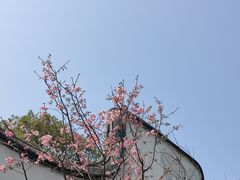 -乌山风景区