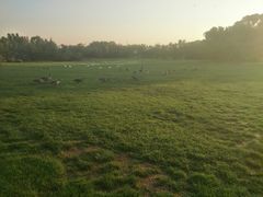 -银树楼(紫玉山庄东区店)