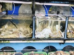 -大丰收海鲜酒楼·专业餐饮30年(连云港老字号店)