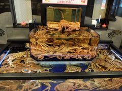 -蟹道乐(道顿堀本店)