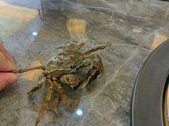 -四海蒸鲜蒸汽海鲜自助(北戴河店)