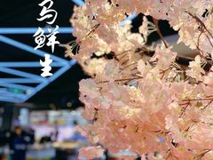 -盒马鲜生(大成店)