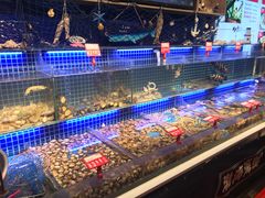 -必点海鲜·鲅鱼水饺(鞍山西道店)