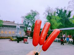 -大槐树寻根祭祖园