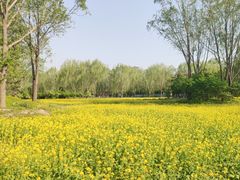-北坞公园