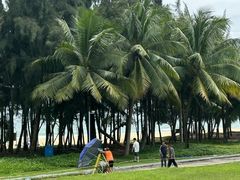 -海南清水湾莱佛士酒店