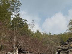 -宁波浙东大竹海景区