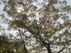 -清远熹乐谷温泉度假酒店