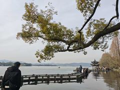 -西湖外事游船(花港观鱼码头)