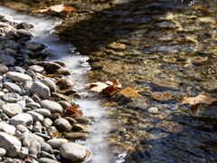 -青峰峡国家森林公园