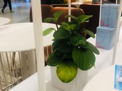 -奈雪的茶(新天地广场PRO店)