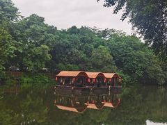 -侨美·唐荔园·40年地道粤菜