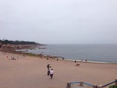海景花园大酒店-青岛海景花园大酒店