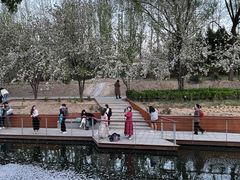 -海棠花溪(元大都城垣遗址公园)