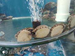 -聚德福海鲜家常菜(刘庄店)