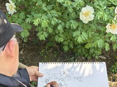 -洛阳市隋唐城遗址植物园