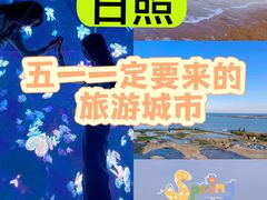 -日照灯塔风景区