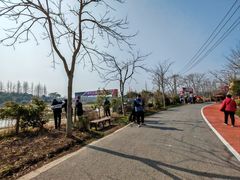 -上海长兴岛郊野公园