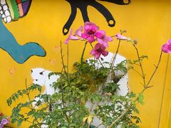 -茶是一枝花泡茶店