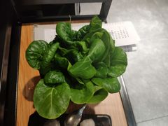 -东椰·海南椰子鸡火锅(朝阳门店)