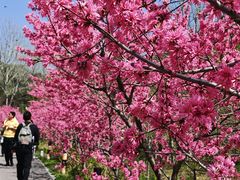 -昆嵛山石门里景区