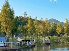 -佛手湖郊野公园