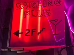 -Darling Queen·Mini·Live·House