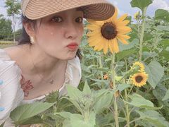 -紫颐香薰山谷景区