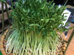 -大头椰·椰子鸡火锅(南宁万象城店)