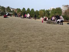 -沙河三洞古桥公园