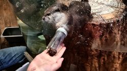 -Zoolung Zoolung动物主题公园(海信广场店)