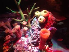 -沈阳海洋探索中心