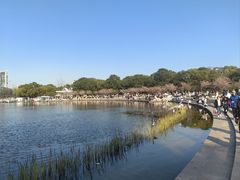 -新江湾城公园