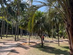 -中国科学院西双版纳热带植物园