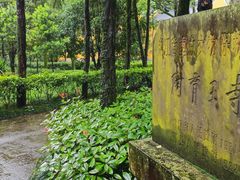 -阿育王寺