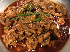 -成老灶火锅鸡(平山店)