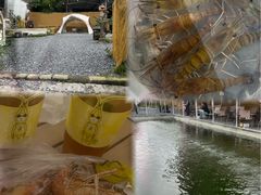 -DGE季风钓虾营地·团建·聚会